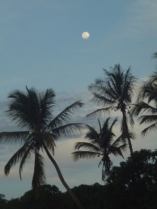 Foto : Cláudia Schembri