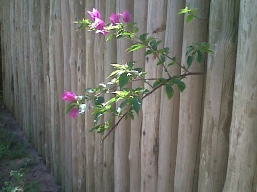 img00540 20110424 1335