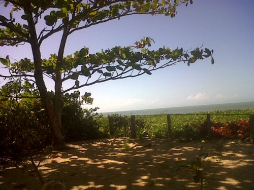 img00636 20110619 1035