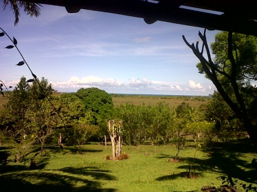 O paraíso da Muriel 