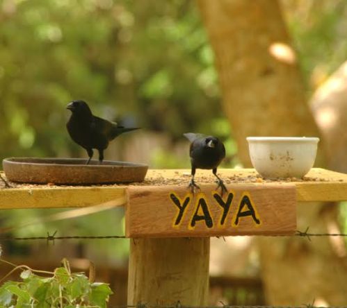 6fa1ed93-f3af-4aec-b911-0fcd1f5d0db6